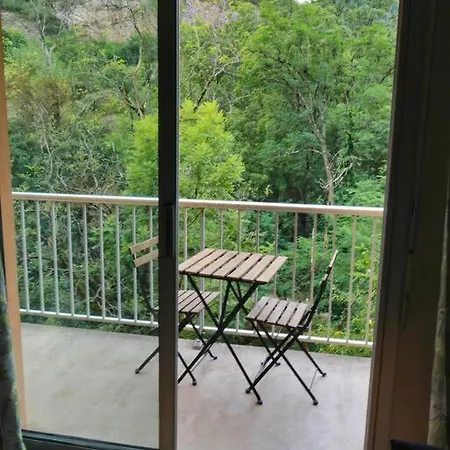 Le Petit Skieur Apartment