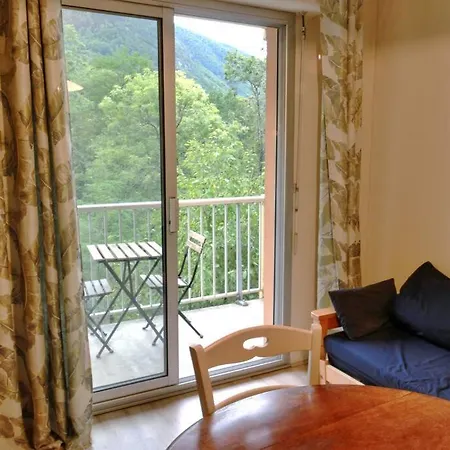 Le Petit Skieur Apartment *